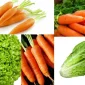 Havuç ve Marul Gibi Sebzelerde Karbonhidrat Bulunur mu?