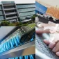 Ortam İzleme Üreticileri: Çevresel Koşulları İzlemede Liderler