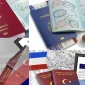 Vize Başvurusu Nedir?